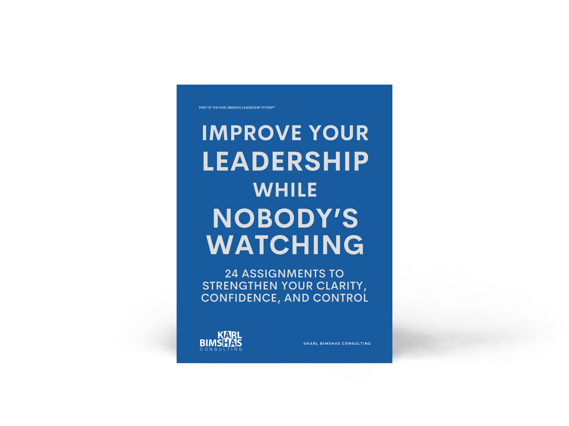 Navigating Chaos by Karl Bimshas