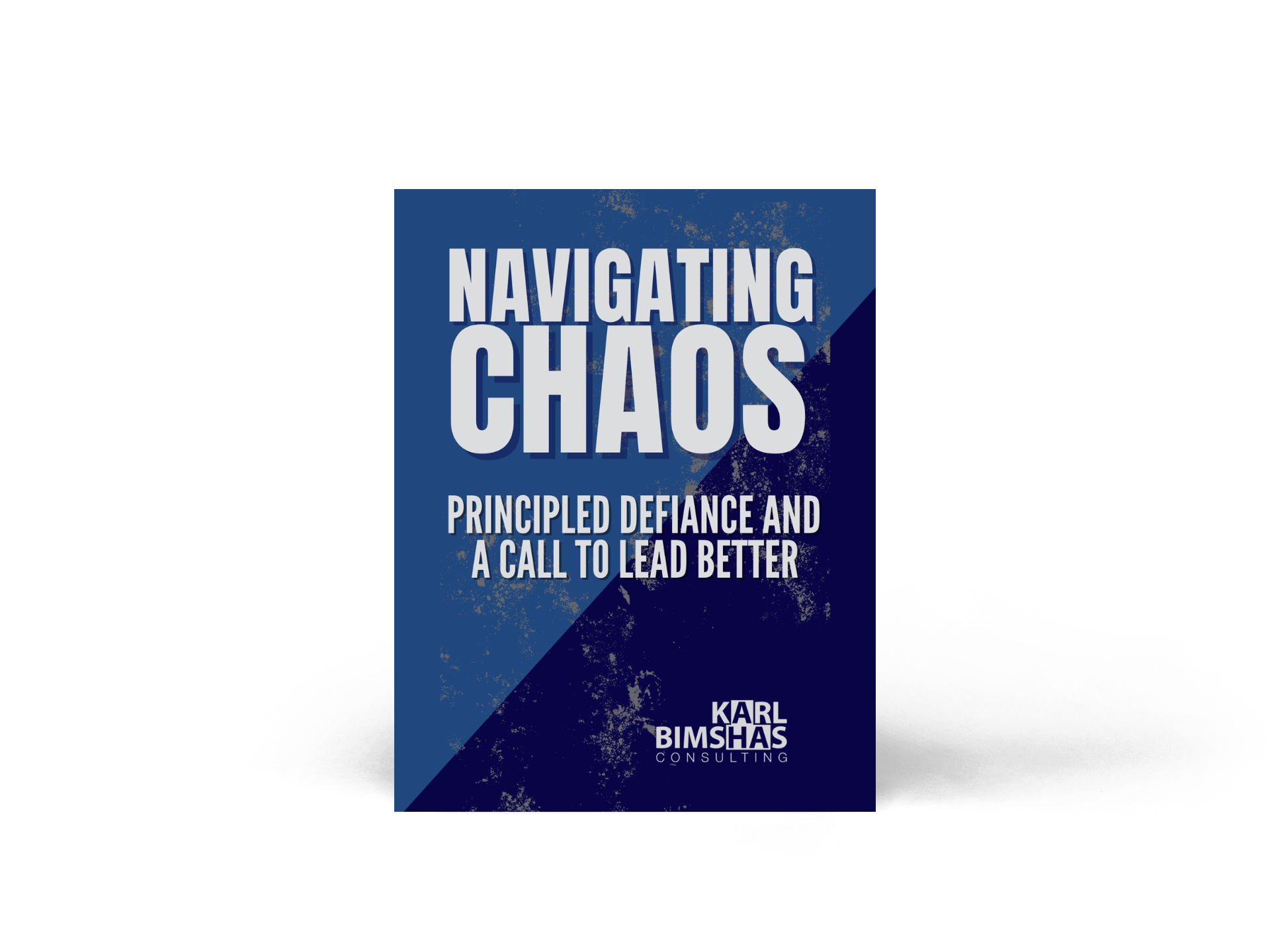 Navigating Chaos by Karl Bimshas